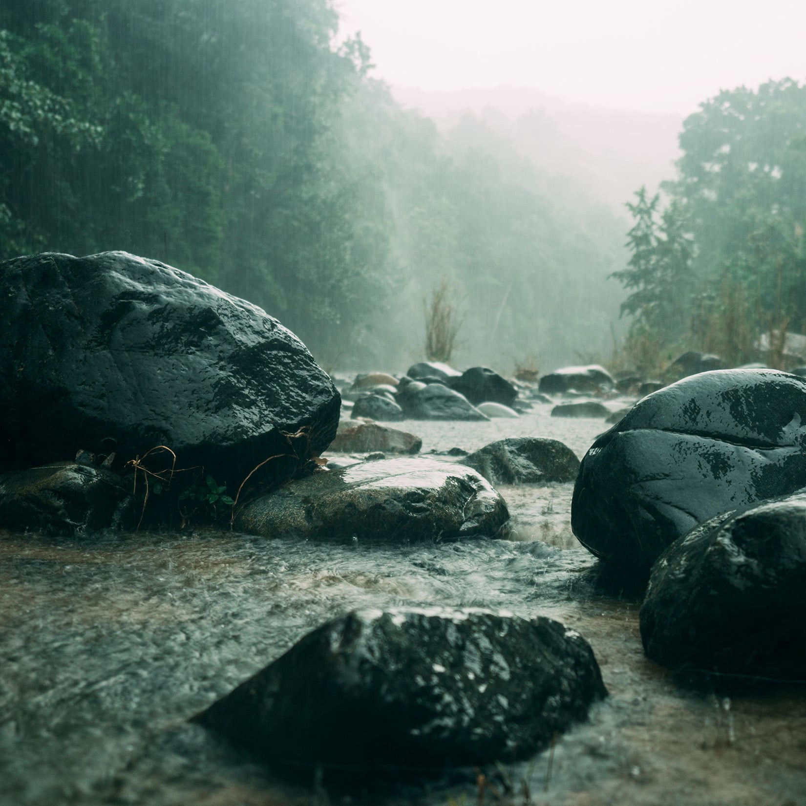 River rocks in the Rain at Kalu Yala