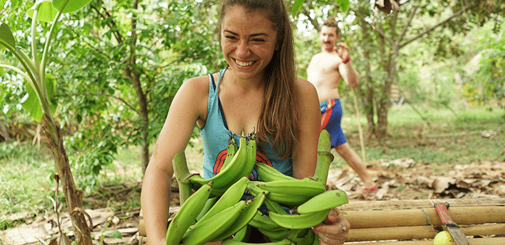 Agriculture at The Panama Tropical Research Institute