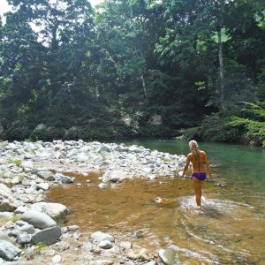 The Panama Tropical Research Institute is in a tropical river valley