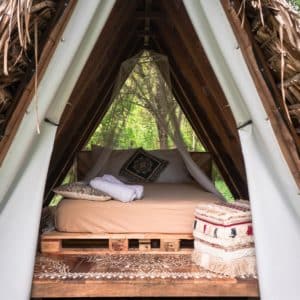Inside a Custom Jungle Tent at World's Top Ranked Study Abroad and International Internship Program