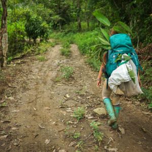 Jungles Hiking at World's Top-Rated Study Abroad and International Internship Program