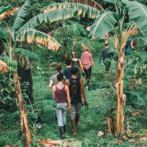 Learn Permaculture at World's Top-Ranked Study Abroad and International Internship Program