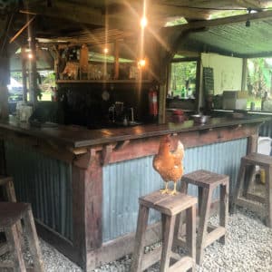 The Bar at World's Top Ranked Study Abroad and International Internship Program