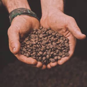 Roasted Local Coffee at World's Top Ranked Study Abroad and International Internship Program
