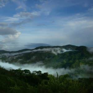 Rainforest River Valley at World's Top Ranked Study Abroad and International Internship Program