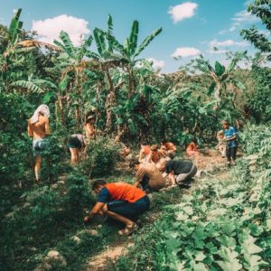 Grow Organic Food at World's Top Ranked Study Abroad and International Internship Program