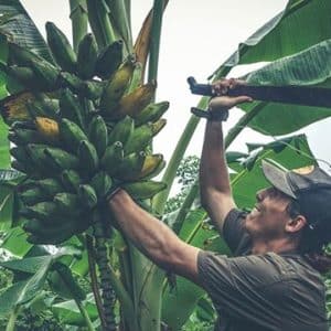 Farm Fresh Local Food at World's Top Ranked Study Abroad and International Internship Program