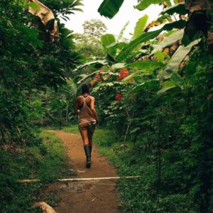 Food Forest at World's Top Ranked Study Abroad and International Internship Program