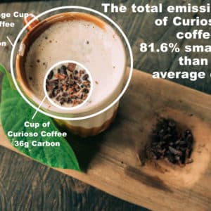 Low Carbon Local Coffee at World's Top Ranked Study Abroad and International Internship Program