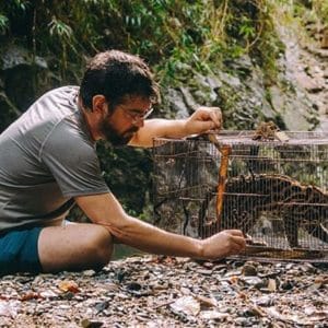 Tropical Field Biology at World's Top Ranked Study Abroad and International Internship Program
